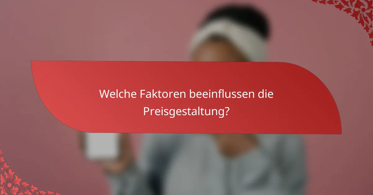Welche Faktoren beeinflussen die Preisgestaltung?