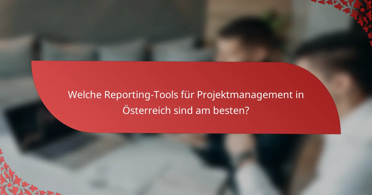 Welche Reporting-Tools für Projektmanagement in Österreich sind am besten?